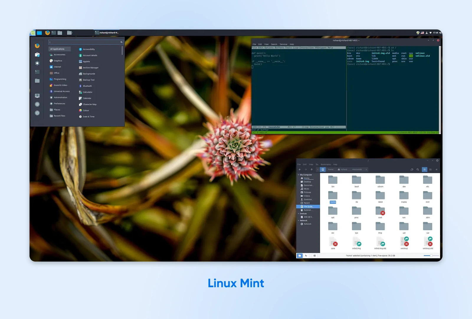 Рабочий стол Cinnamon в Linux Mint с ярким цветочным фото, файловым менеджером, терминалом и монитором системы.